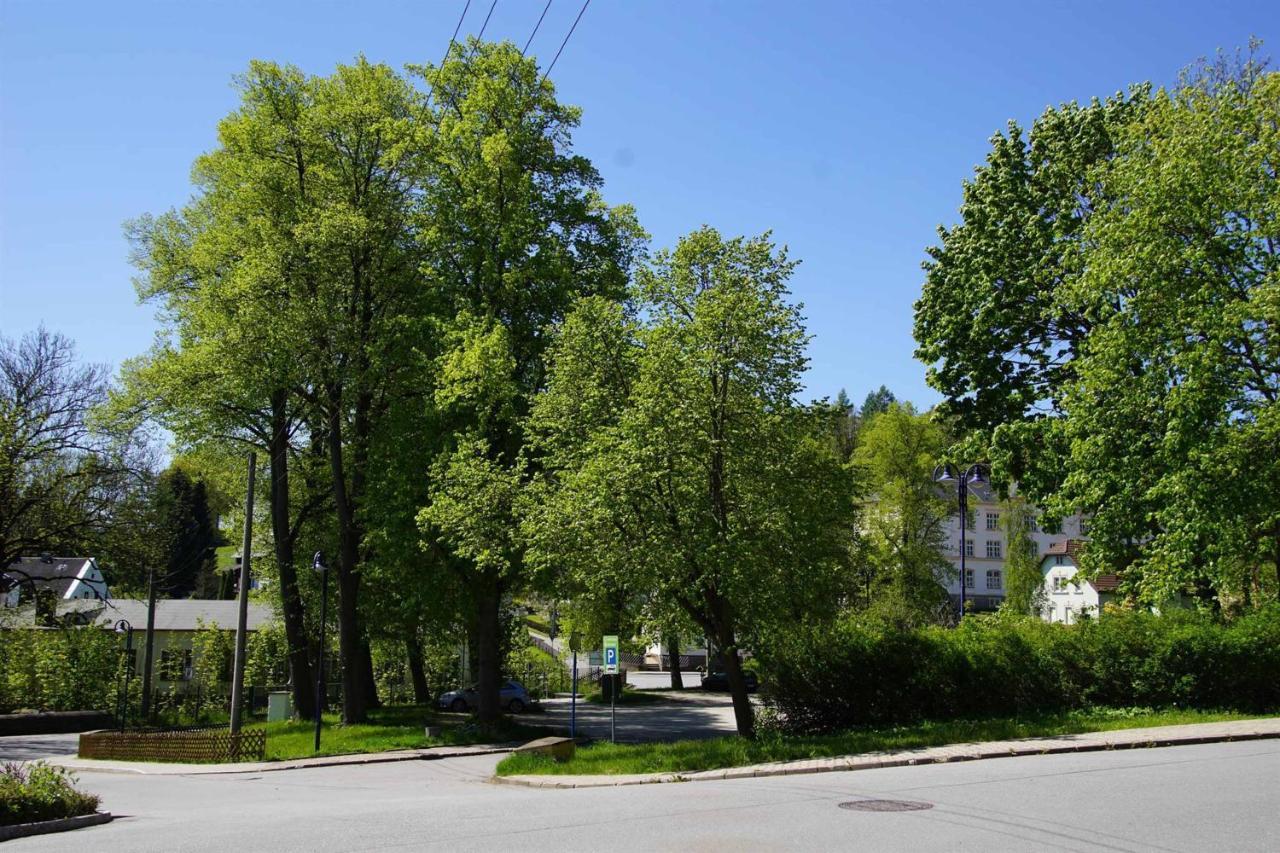 Gelenau Ferienwohnung Kermaerchen מראה חיצוני תמונה